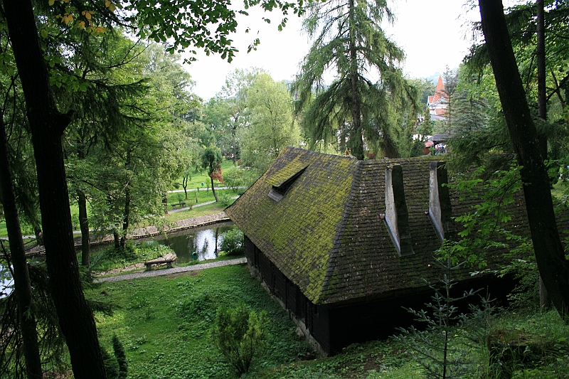 Original image